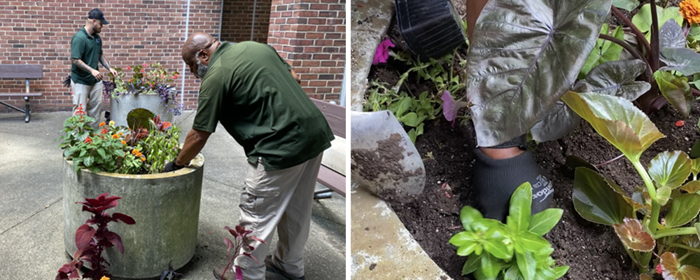A groundskeeper plants flowers in a concrete planter.
